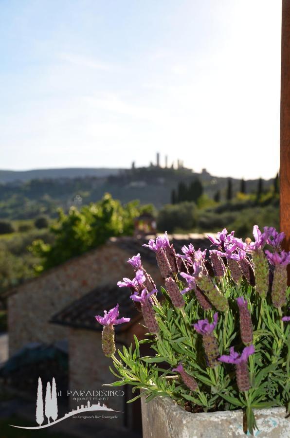 Il Paradisino San Gimignano'S Best Countryside Zewnętrze zdjęcie